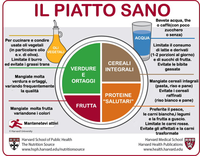 piatto di harvard