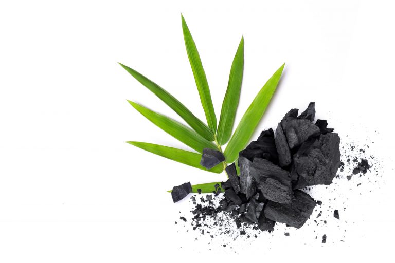 Carbone vegetale: Usi e benefici